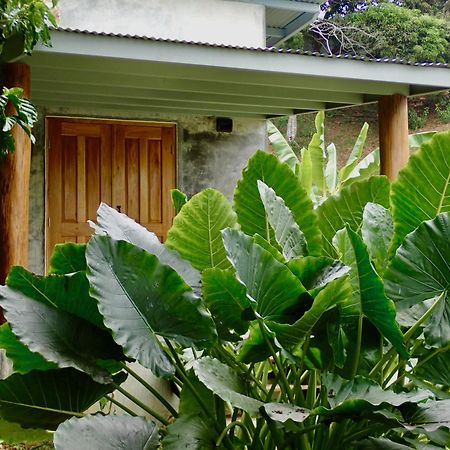 בוקס דל טורו Casa Salvaje Vacation Rentals מראה חיצוני תמונה