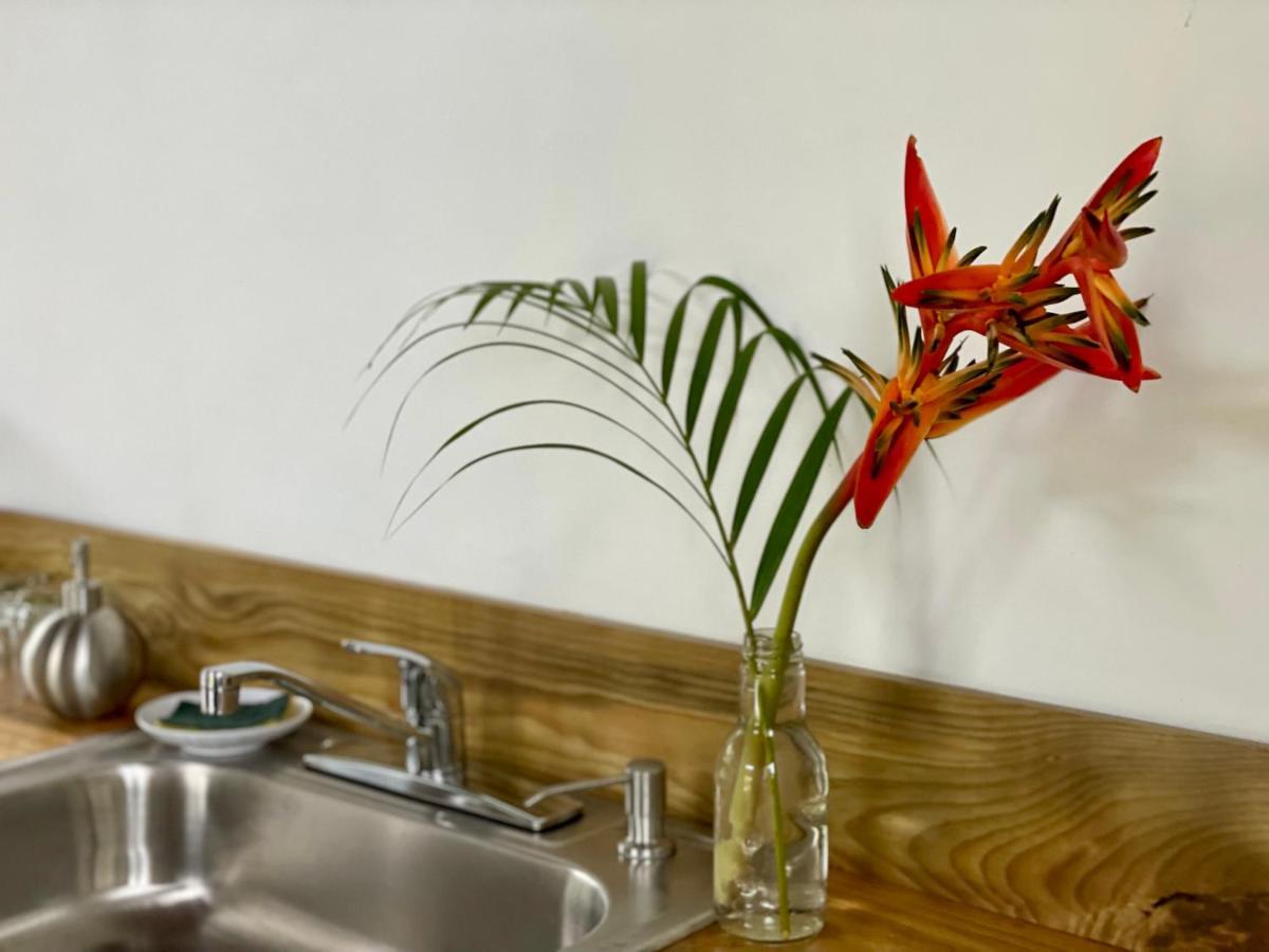 בוקס דל טורו Casa Salvaje Vacation Rentals מראה חיצוני תמונה
