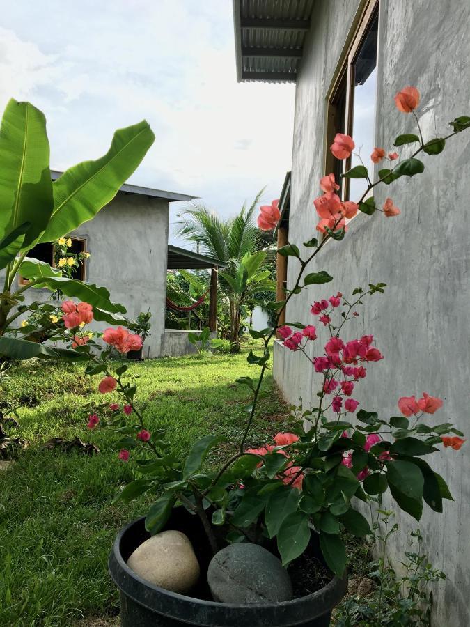 בוקס דל טורו Casa Salvaje Vacation Rentals מראה חיצוני תמונה