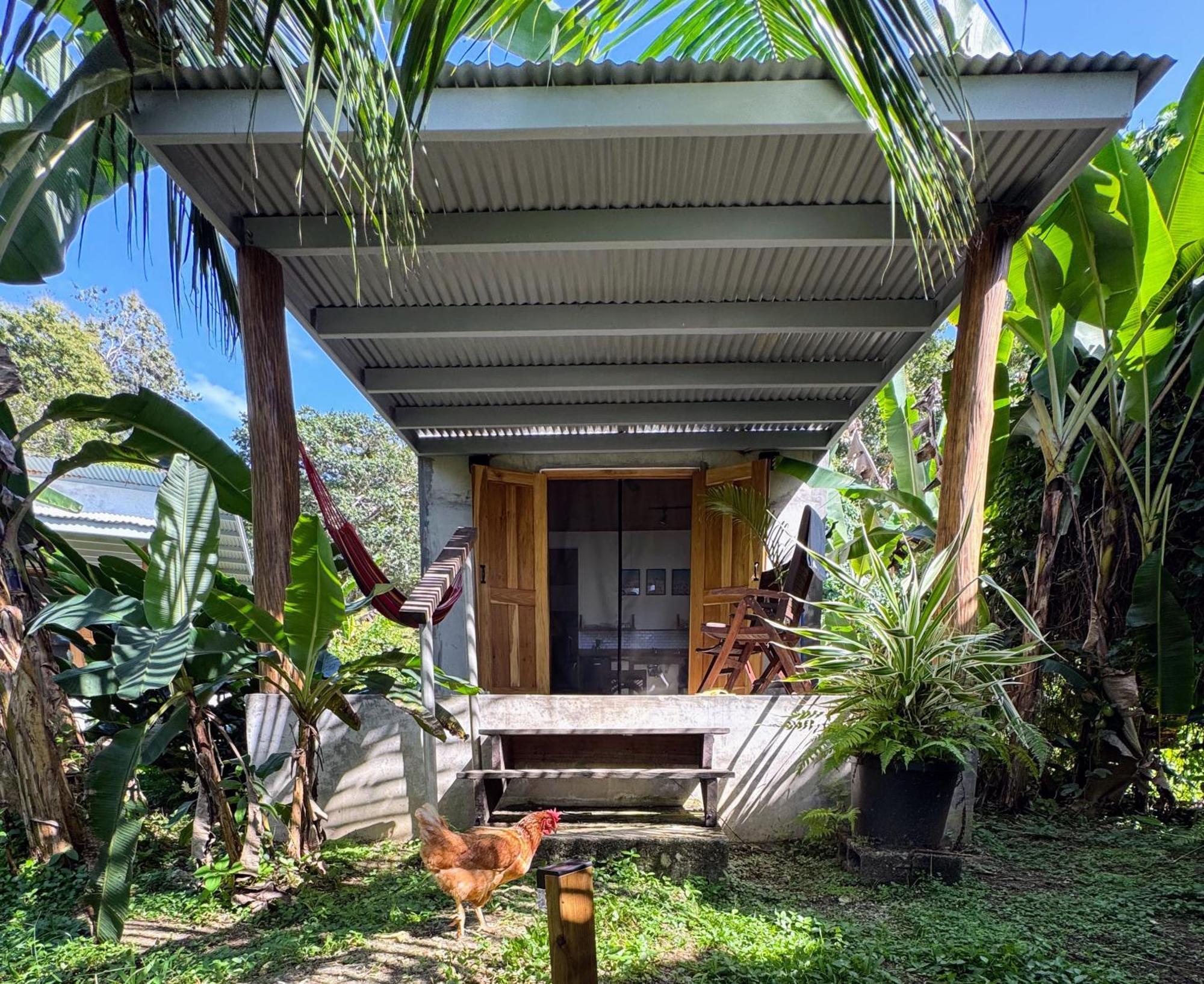 בוקס דל טורו Casa Salvaje Vacation Rentals מראה חיצוני תמונה