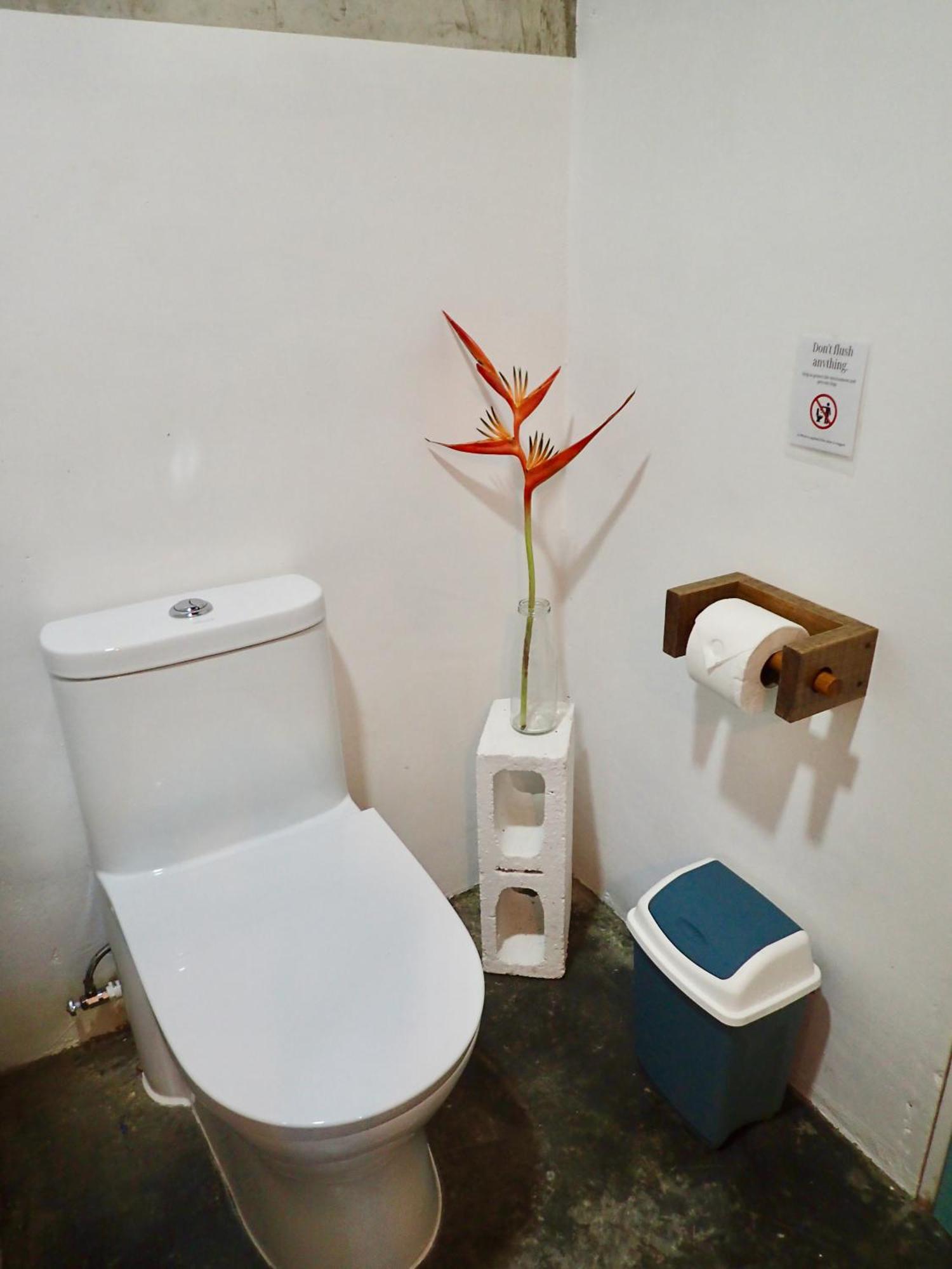 בוקס דל טורו Casa Salvaje Vacation Rentals מראה חיצוני תמונה