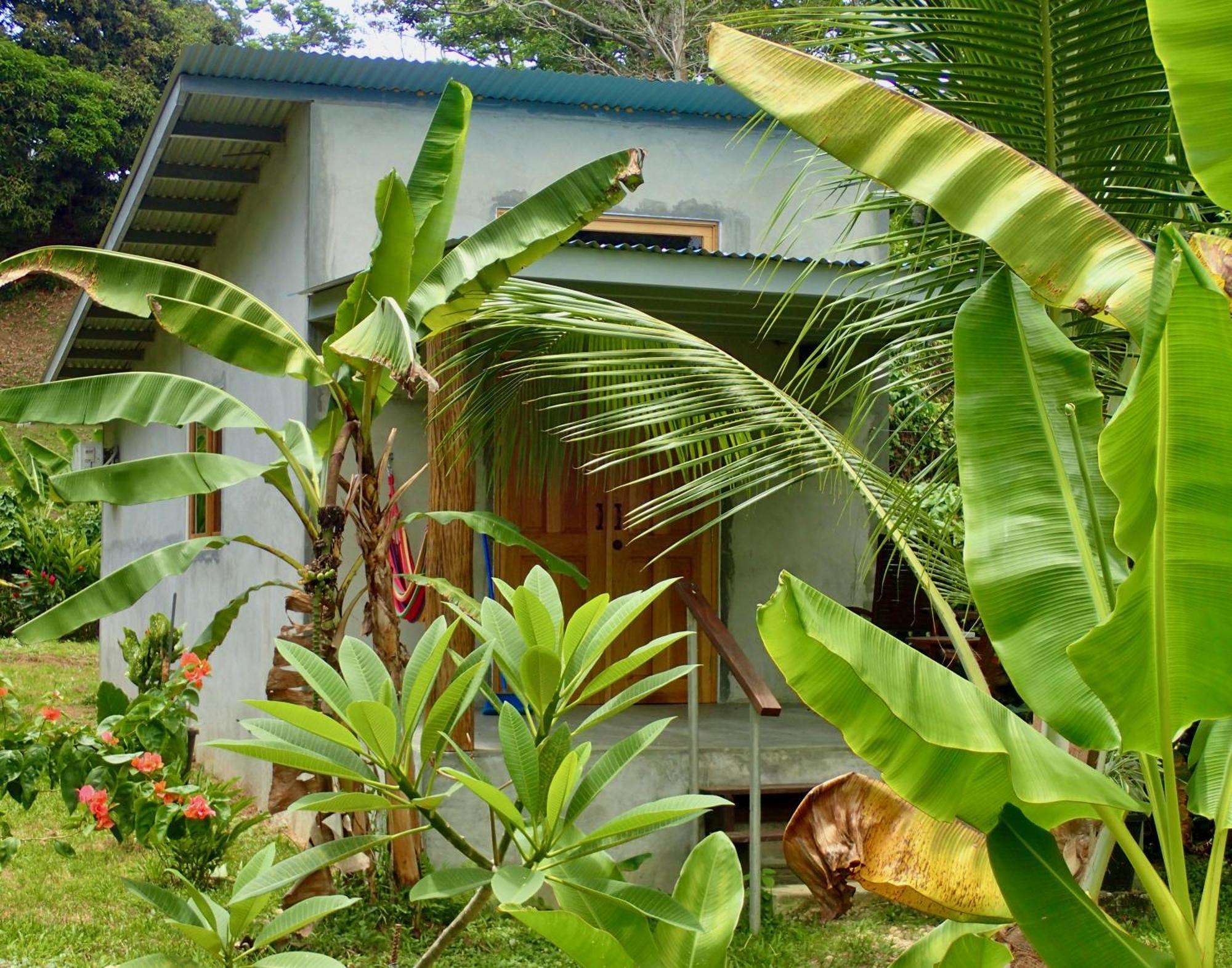 בוקס דל טורו Casa Salvaje Vacation Rentals מראה חיצוני תמונה