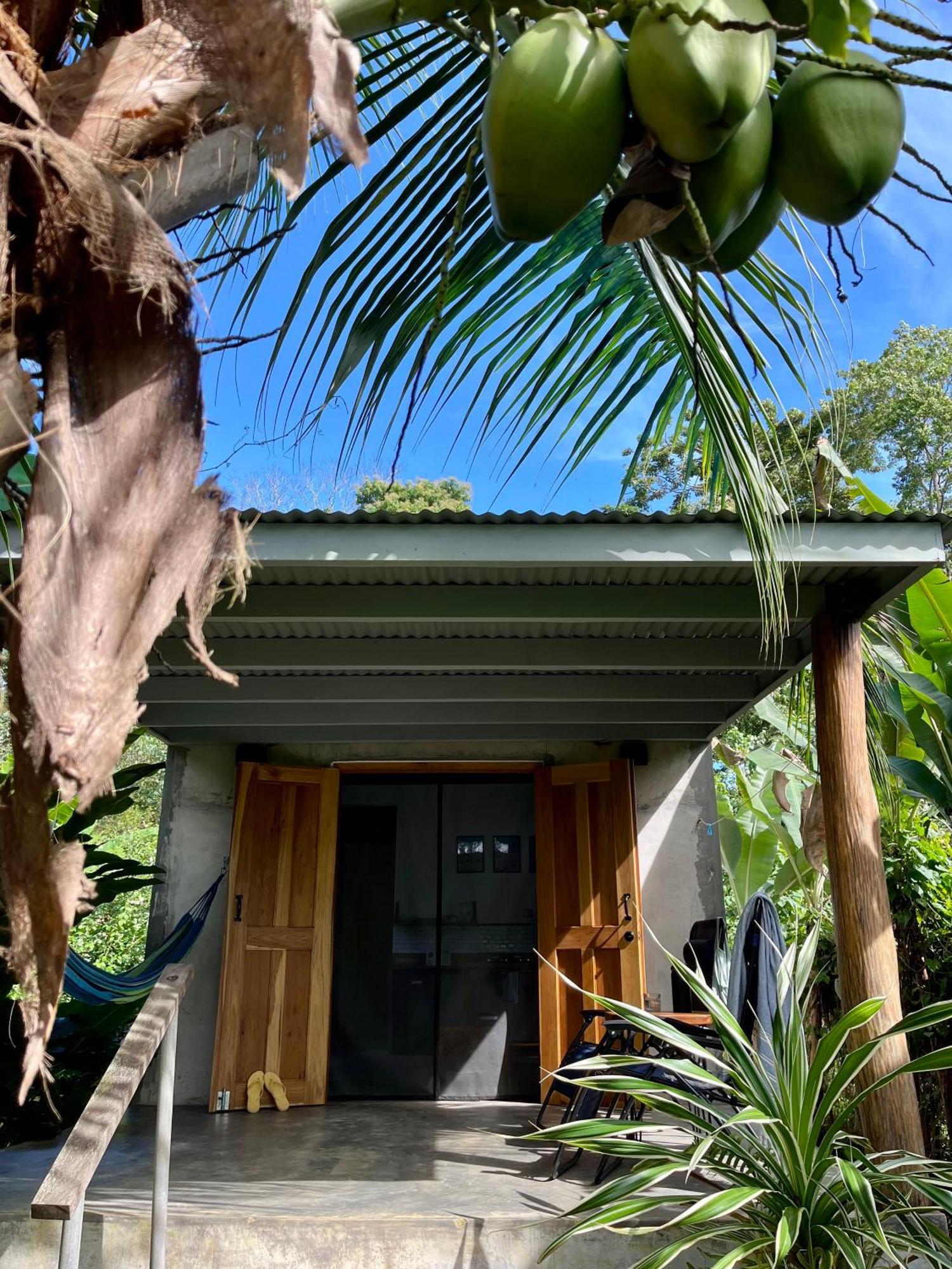 בוקס דל טורו Casa Salvaje Vacation Rentals מראה חיצוני תמונה